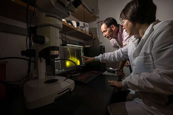Ting Du, wearing a white lab coat, sits at a desk and points to a computer screen showing yellow fluid as Doug Kelley looks over her shoulder.