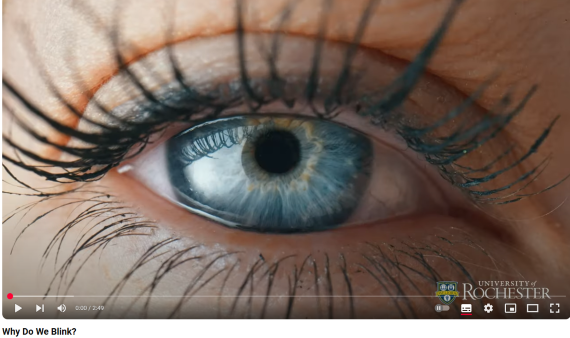 Image of an eye and eyelashes from "Why Do We Blink" video.