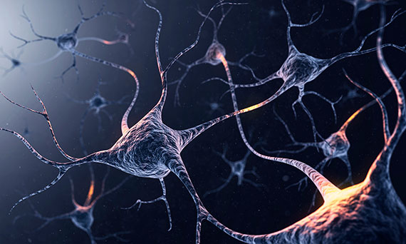 System of colorful neurons with glowing connections against a dark background.