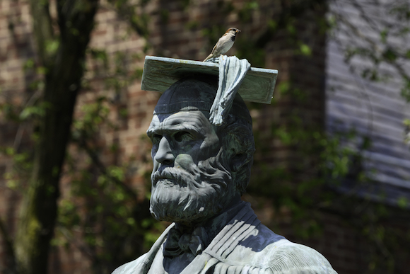 A house sparrow perches atop the statue of Martin Brewer Anderson.