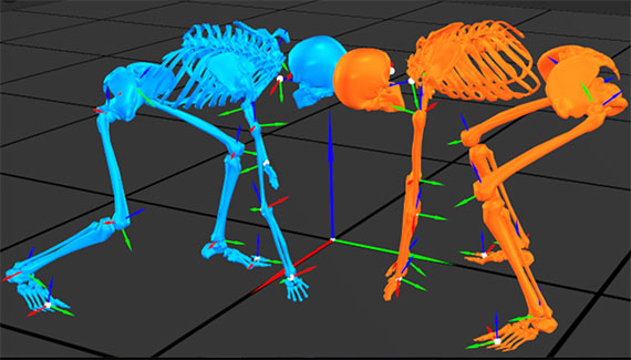 A computer simulation of blue and orange skeletons lining up against other in three point stances.