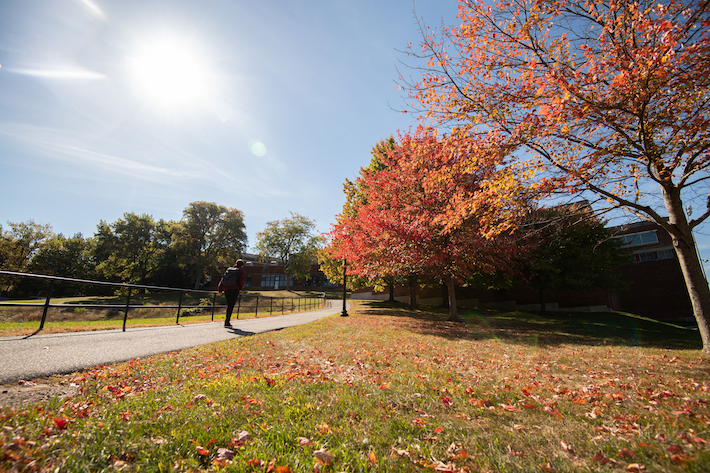 A person walks along a path with fall foliage surrounding them. 