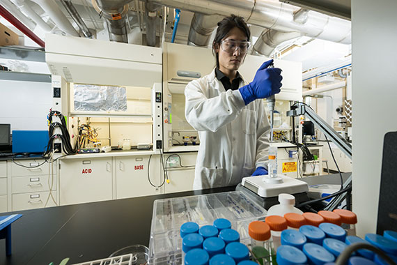 A researcher in a white lab coat and gloves uses a pipette to fill test tubes.