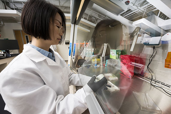 A scientist in a lab coat uses a pipette to prepare microchips with human tissue.
