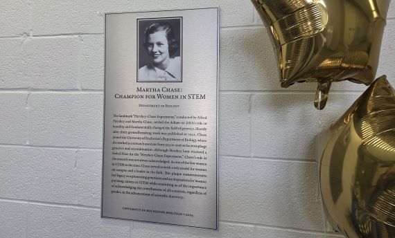 Photo of the Martha Chase silver plaque on a wall, bordered by gold ballons.