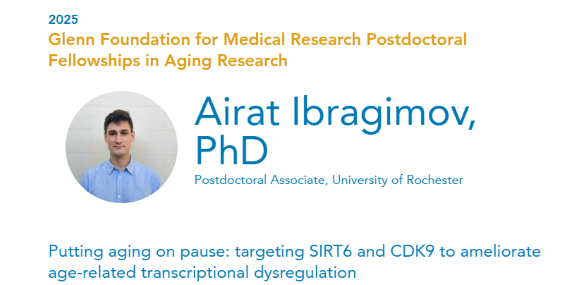 Image of Airat Ibragimov, 
