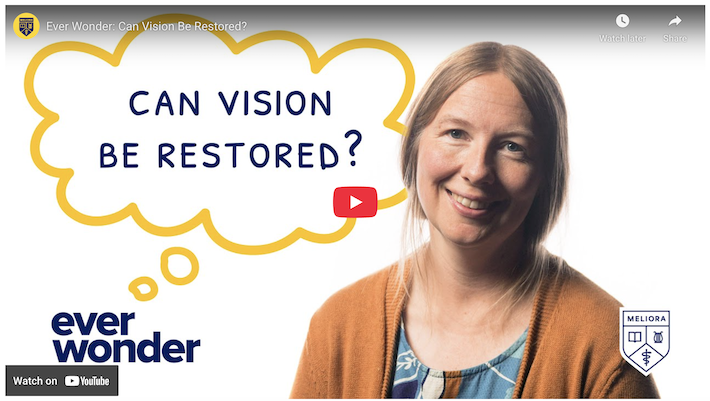 Screenshot of a YouTube page. Ever Wonder: Can Lost Vision Be Restored?