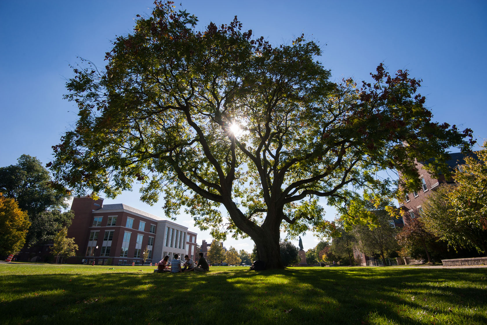 University of Rochester students, l-r: Colleen Meidt, Andrew Holloman, Justin Montione and Alex Fortier, all '18 enjoy a warm Friday afternoon under a tree on Wilson Quad September 26, 2014. // photo by J. Adam Fenster / University of Rochester
