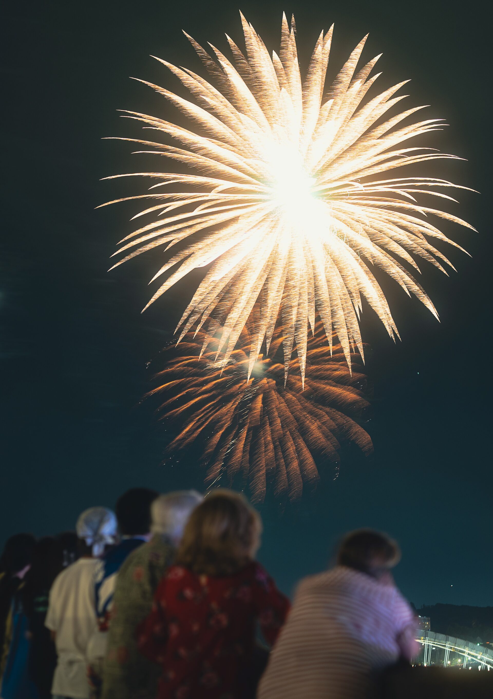 A crowd watches a fireworks show