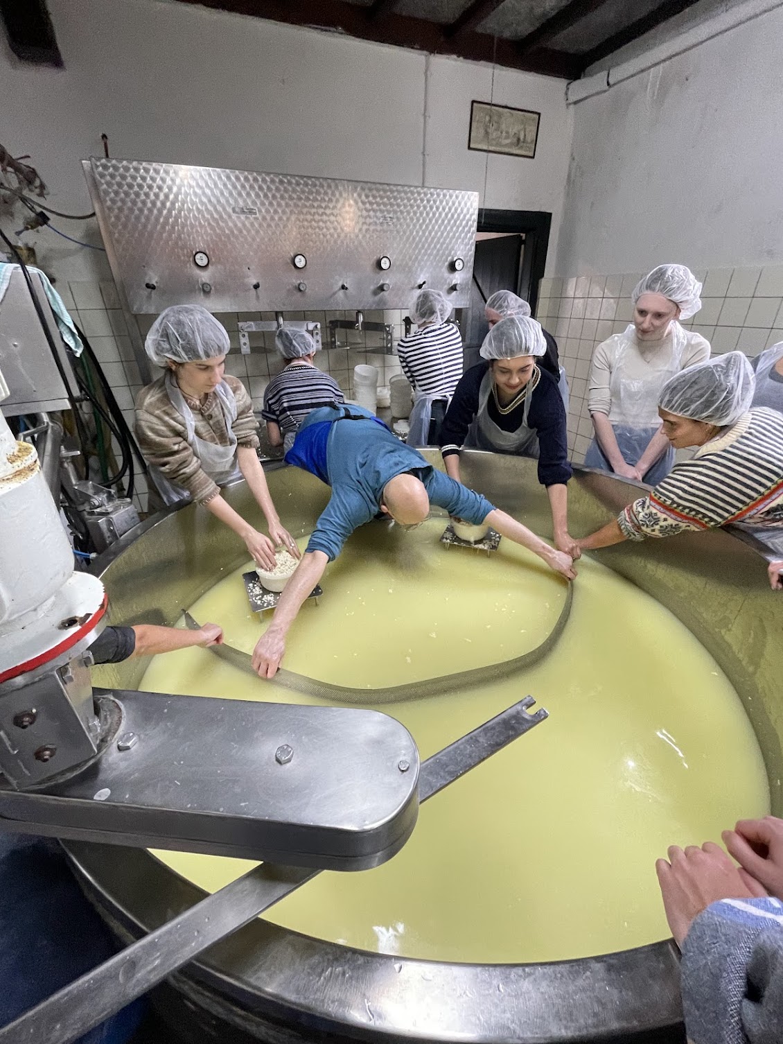 A group of workers overtop of a vat of cheese in a factory