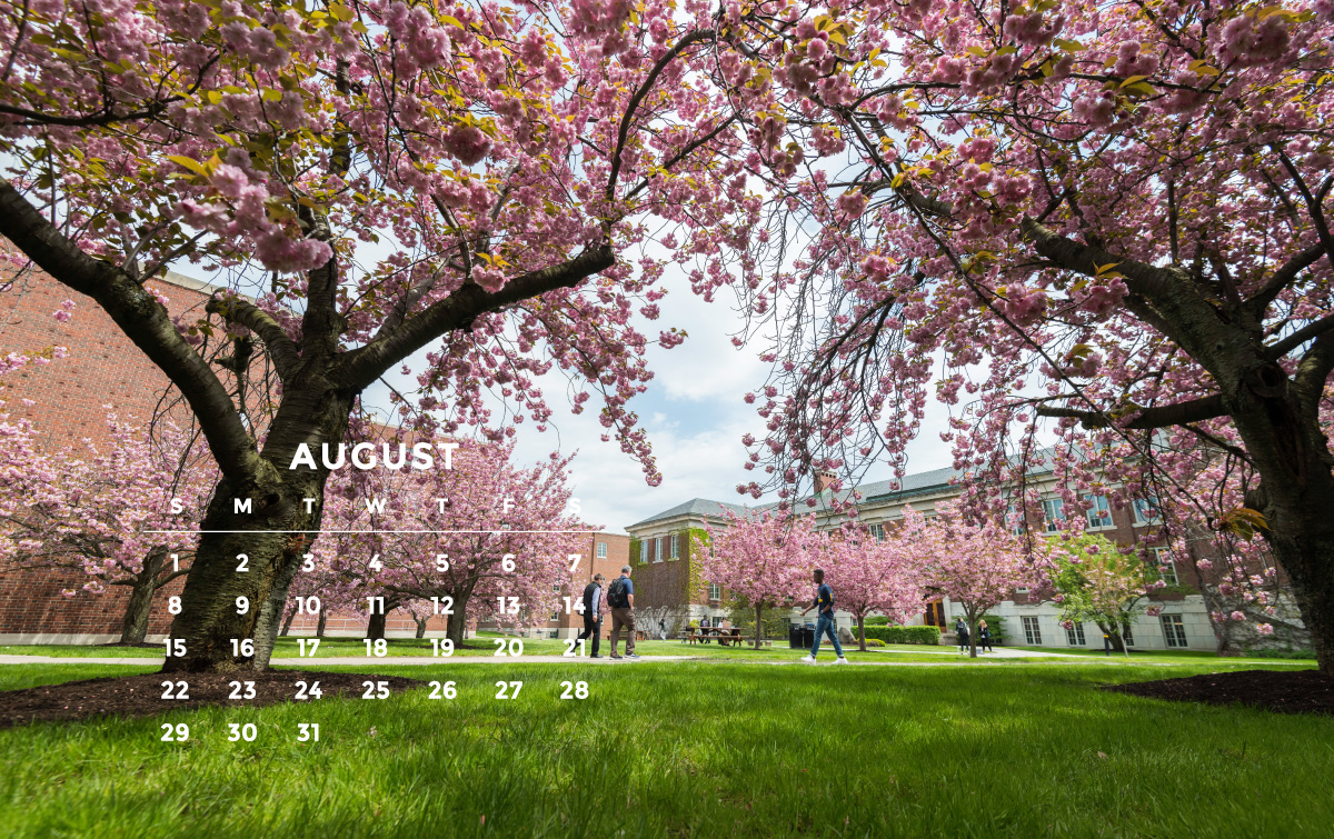 August wallpaper