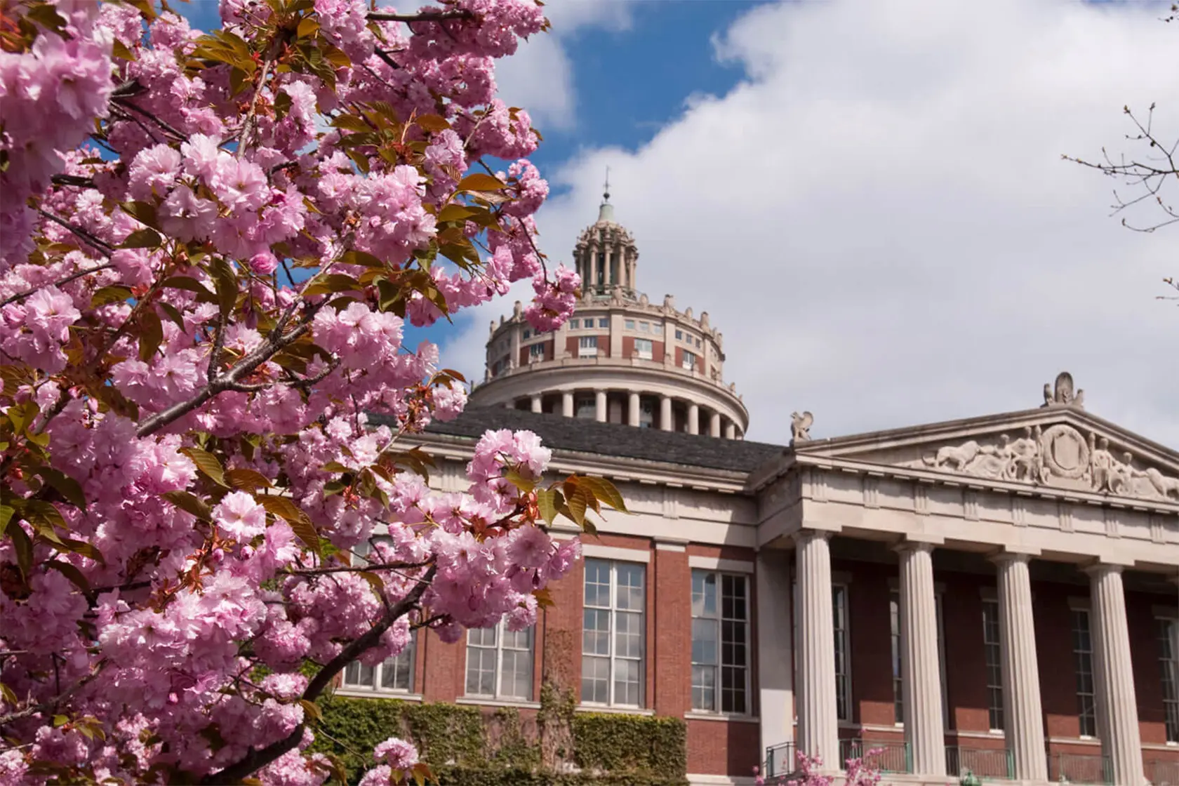 A view of Rush Rhees Library featuring a prominent dome and a tree in the foreground.