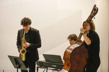 A saxophonist, keyboardist and orchestra bass player