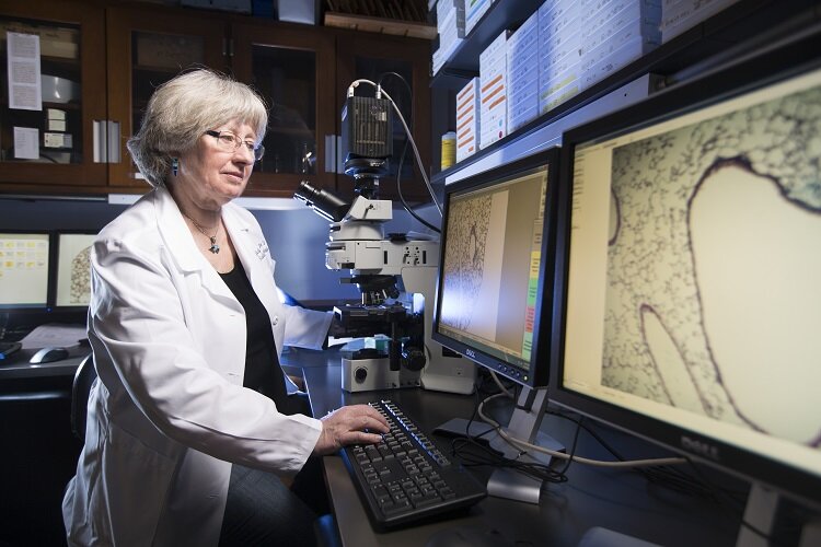 WCI - researcher