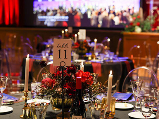 Dinner table decorated with plates and utensils with a view of a stage