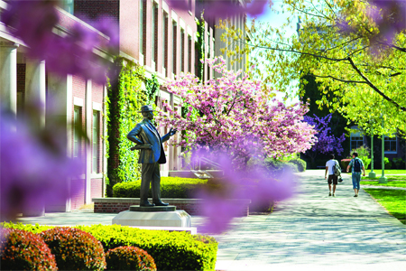 2013-05-06_flowering_quad_trees_011_RET-X2-450-1