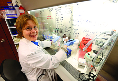 Jane Liesveld, M.D., a professor in the Department of Hematology/Oncology, focuses her research on how cancer develops in bone marrow, which is translated to treatments for the patients she cares for each day.