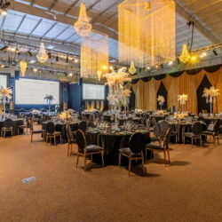 Reception ballroom with hanging lights