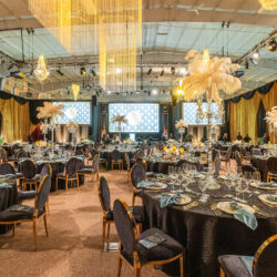 Reception ballroom with hanging lights