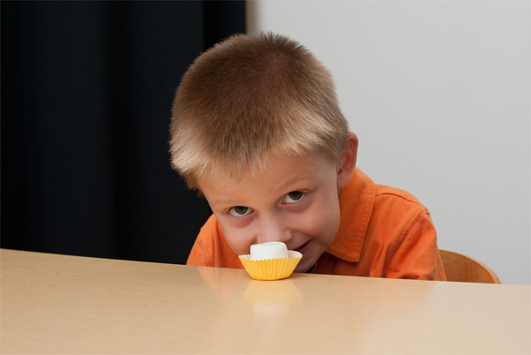 boy leaning over marshmallow