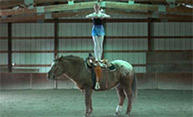 Feature image woman standing on horse's back
