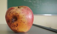 Author aims to flip a broken school system