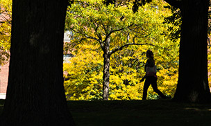 silouette of woman between trees on campus
