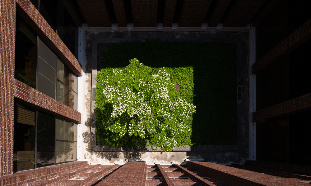 Feature image