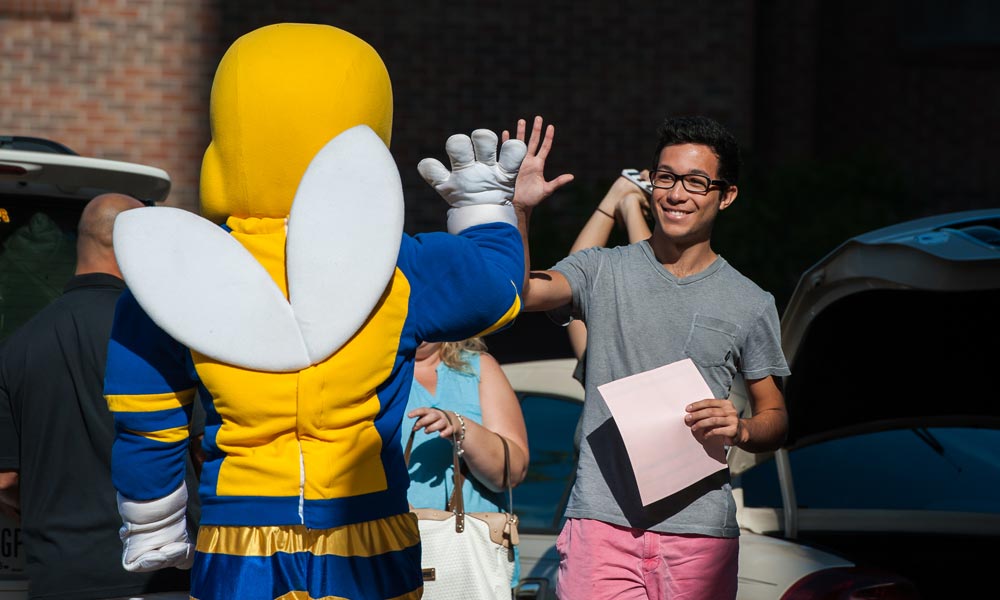 Feature image student gives high five to Rocky mascot