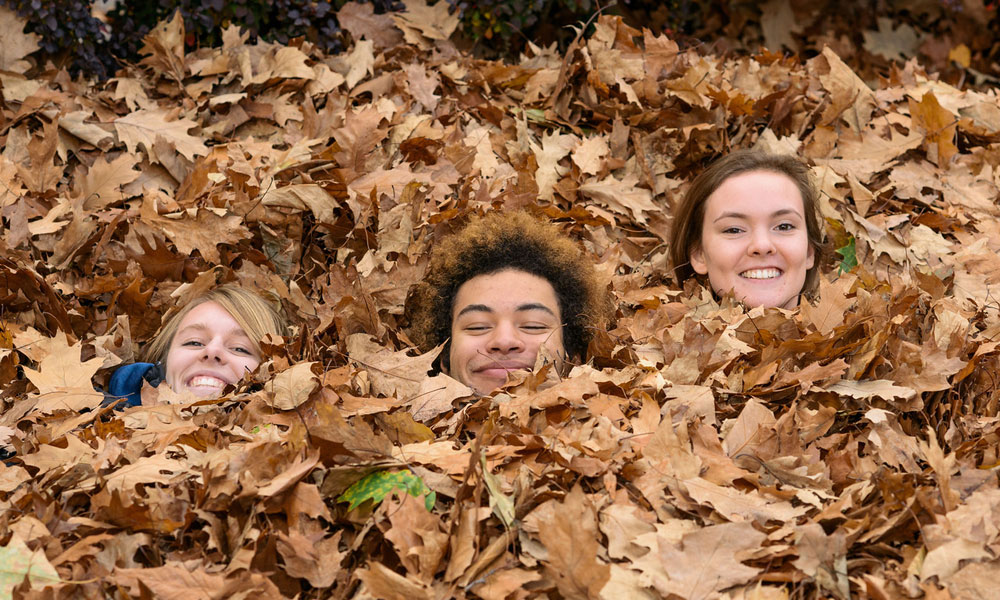Feature image three students buried in leaves, only their faces showing