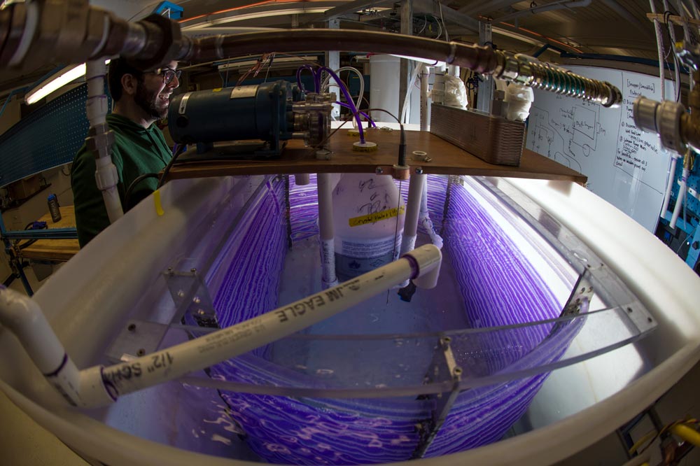Feature image student smiles while monitoring an experiment in a lab