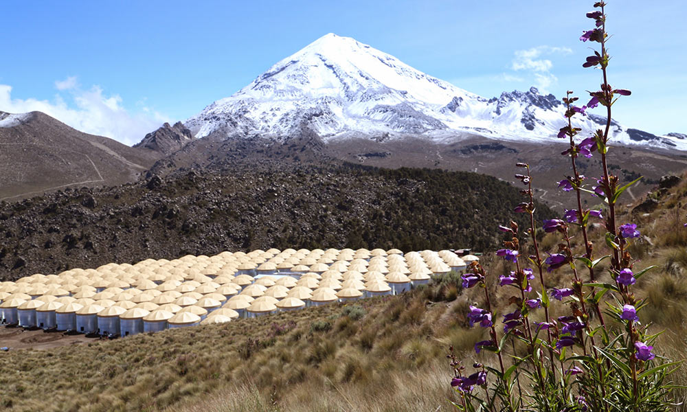 Feature image storage tanks, snow-capped mountain and purple flowers