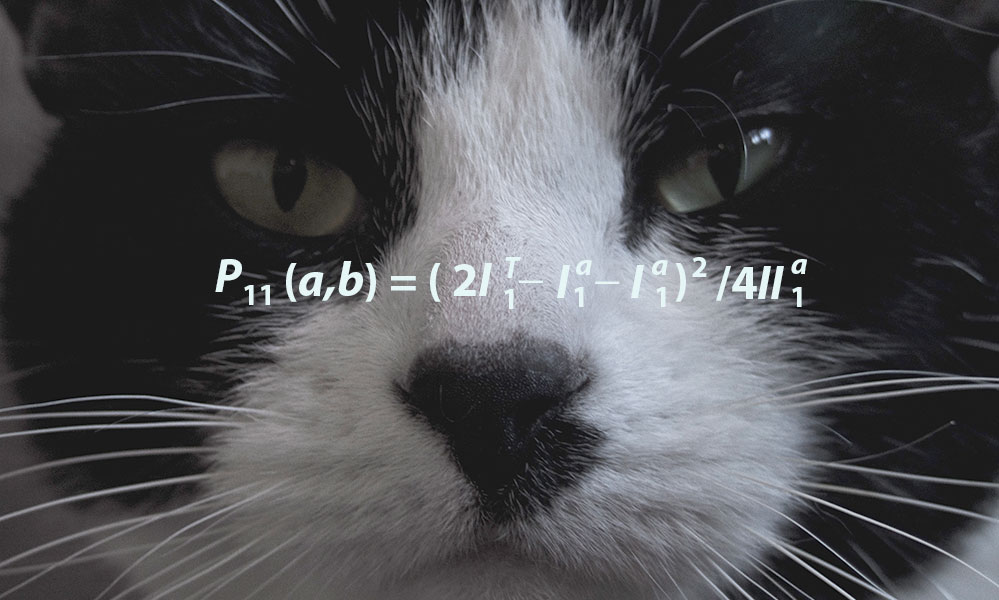 Feature image extreme close-up of a cat with a mathematical formula printed on its face