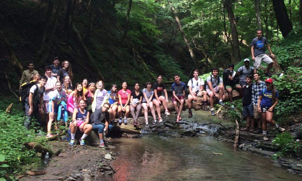 Feature image large group of students pose on tree