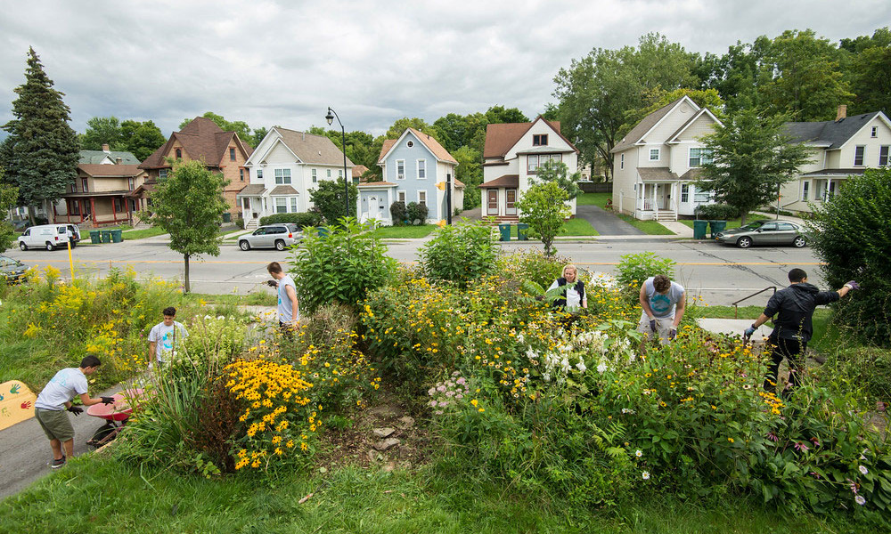 Feature image students working in community garden