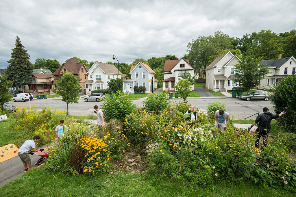 students gardening in a city neighborhood