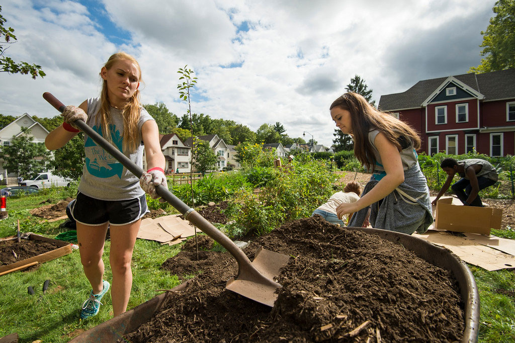 students shoveling mulch into a wheelbarrow