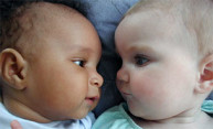 $2.6 Million grant funds study of early sex differences in human health, disease