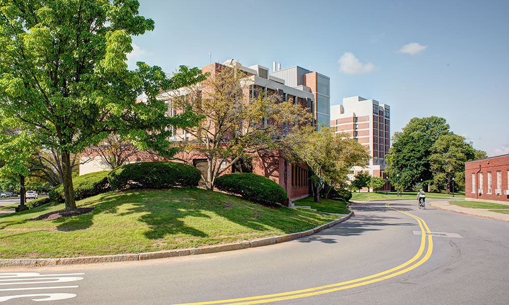 buildings along Hutchison Road on River Campus