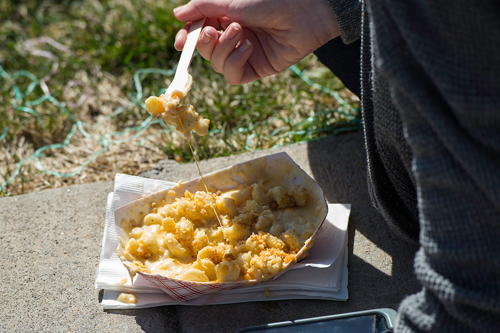 plat full of macaroni and cheese