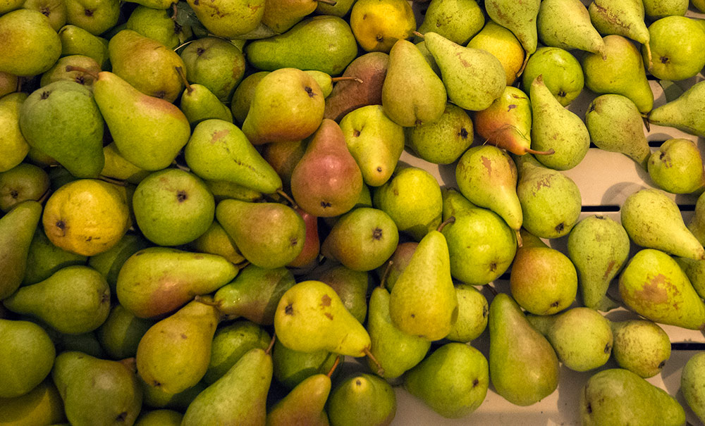 Feature image pears