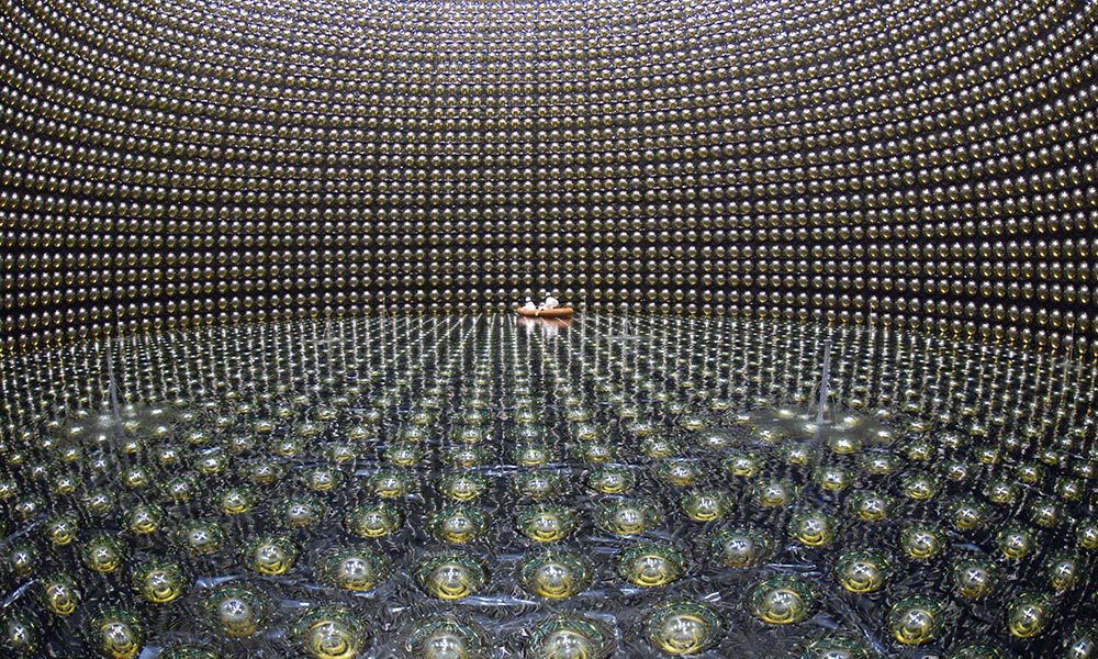 Feature image detector array