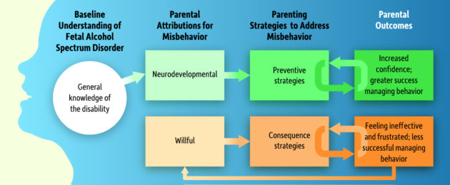 FASD behavior flow chart