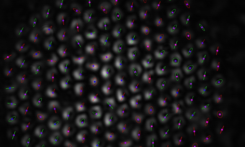 Feature image