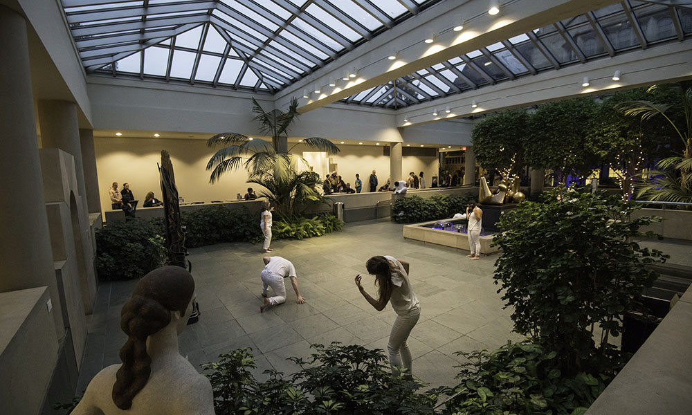 Feature image on display installation