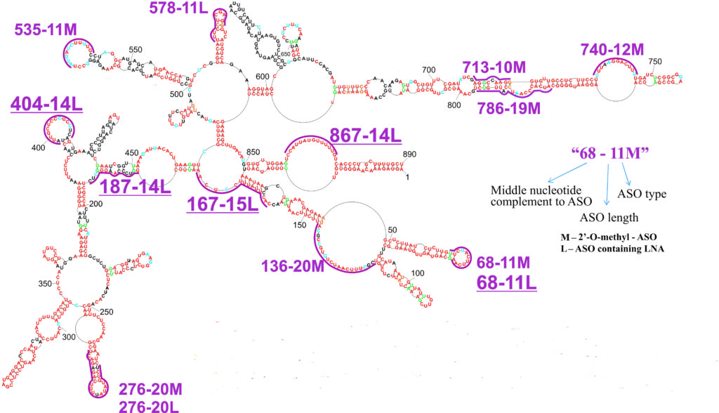 chart showing connections between sequences