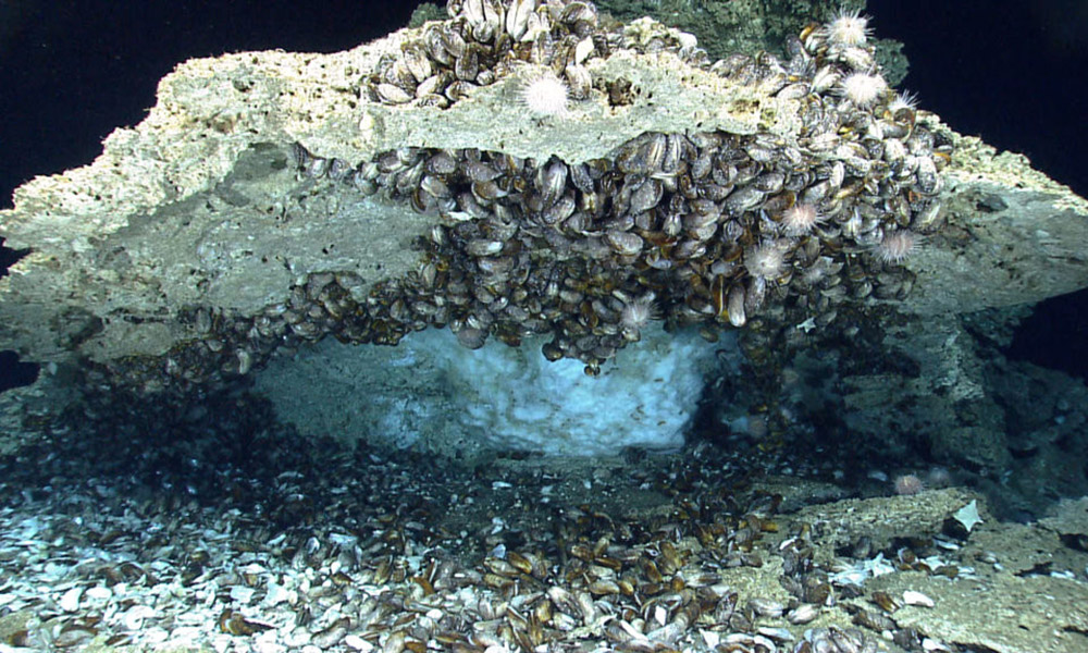 gas hydrate on the floor of the Gulf of Mexico