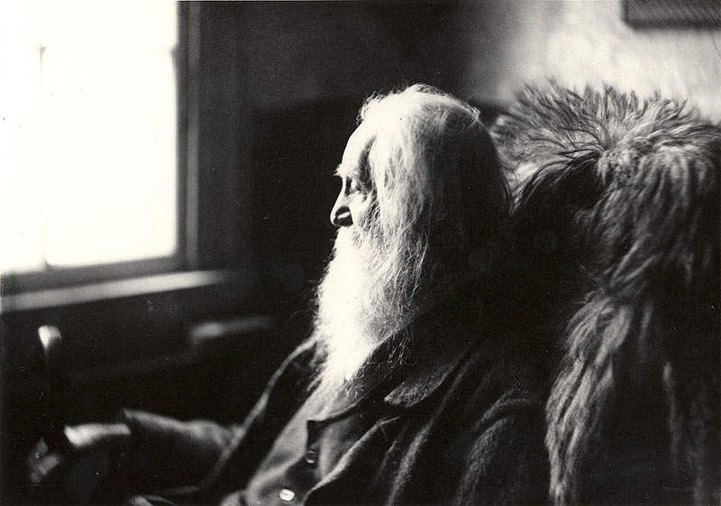 portrait of Walt Whitman