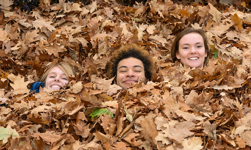 Feature image three students in pile of leaves