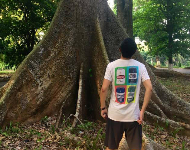 Young man looking up trunk of old tree